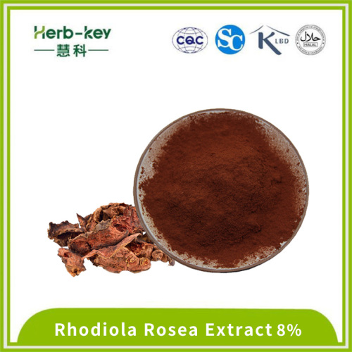 Herbal Medicine 8% high content light brown Rhodiola extract powder Supplier