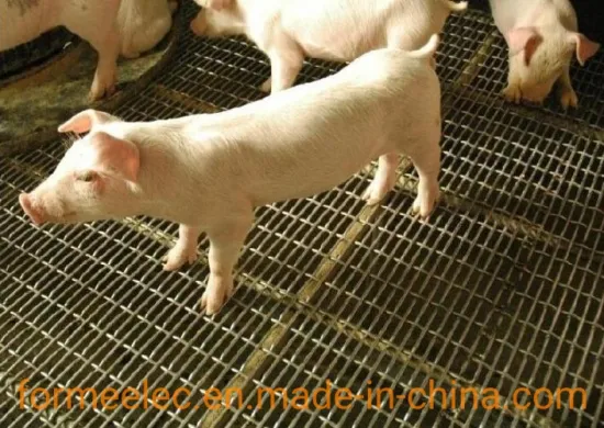 Mightey Crimped Wire Mesh Stainless Steel Twill Mesh Wall Corner Mesh