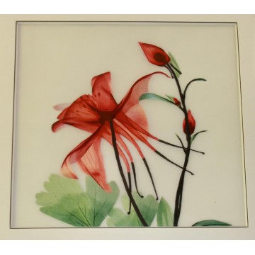 Diseños de bordado tradicionales chinos