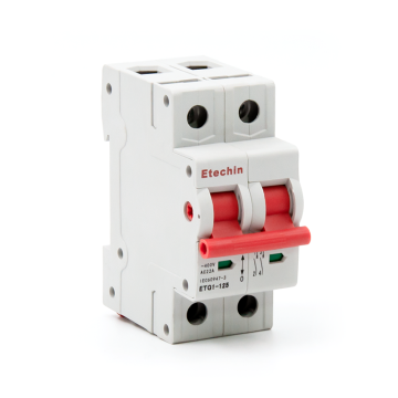 2P Main Switch Disconnectors & Isolators - Low Voltage Circuit Breakers 40A-125A, 6kA, 230V/380V OEM Manufacturer