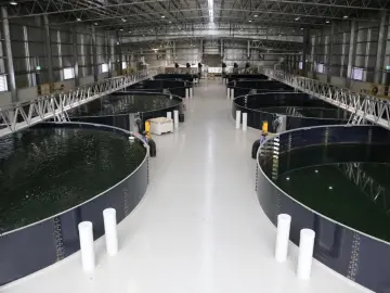 Fish health Lightweigjt  Aquaculture Tank Tarps