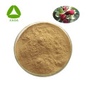 Bayberry Bark Extract Poederplaatextract