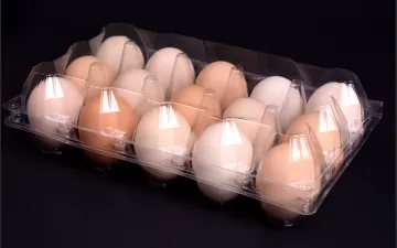 15 holes plastic egg tray for supermarket