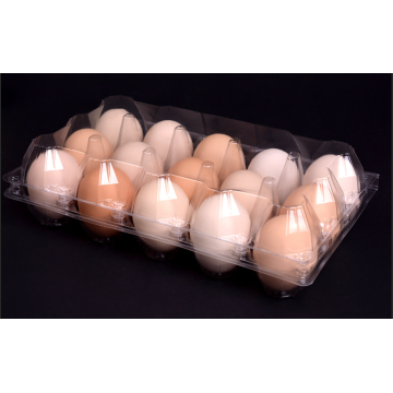 15 holes plastic egg tray for supermarket