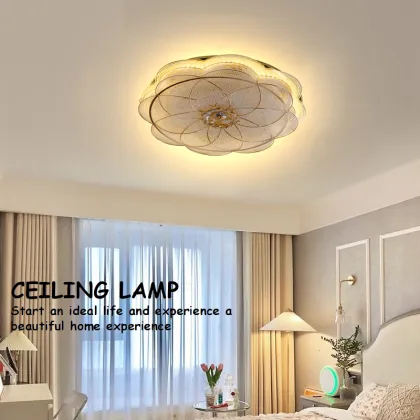 500mm Colored Changeable Round Ceiling Lights - Surface Mounted Indoor Lighting