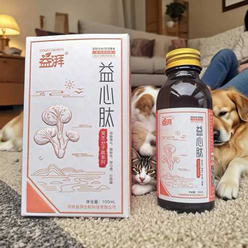 Köpeklerde Dilate Kardiyomiyopati (DCM) Destek Formülü