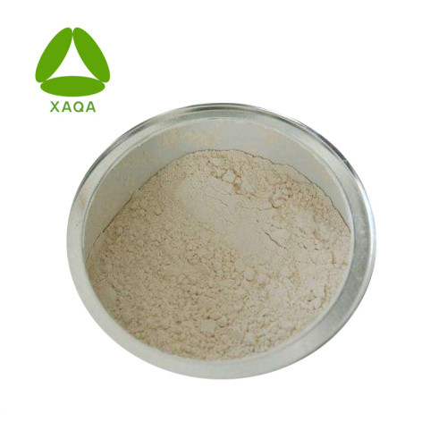 Slak Slime Extract Cosmetic Additive Powder 10: 1