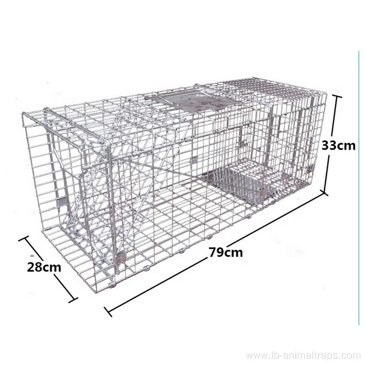 Double Door Animal Catch Collapsible Cat Traps Cage