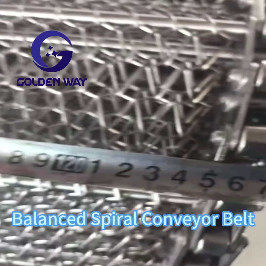 Balanced Stainless Steel Wire Mesh Belt
