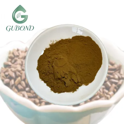 Cassia Seed Extract Powder for Dietary Supplements