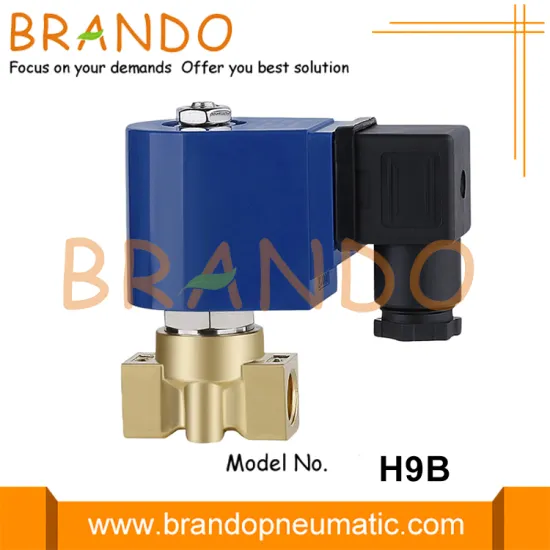 120 bar High Pressure Solenoid Valve 220V 110V