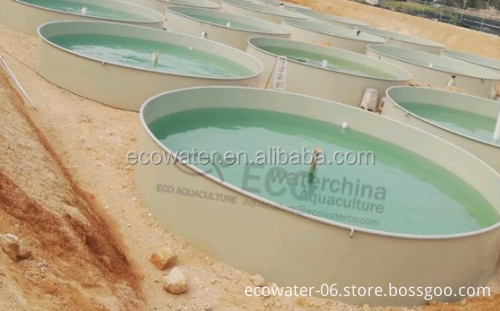 Large PP Plastic Fish Tank System for Farm Recirculating Aquaculture: Supplier and Details