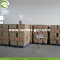 Factory Supply Fruits Dried 150 180 Goji Berry