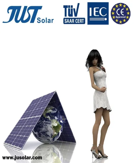 Hot Sales 300W Mono Solar Panel with CE, TUV Certificates