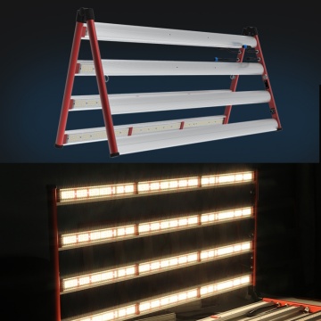 Bekalan Kilang Borong LED Grow Light 800W