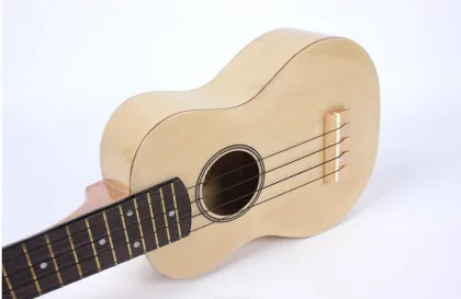 WYC 2015newstyle guitar ukulele
