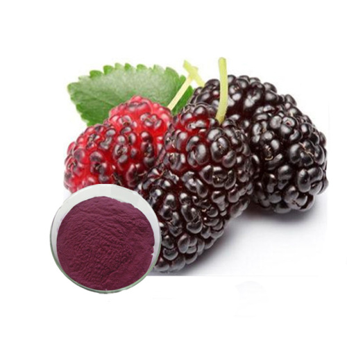 Natural black mulberry extract powder with more benefits