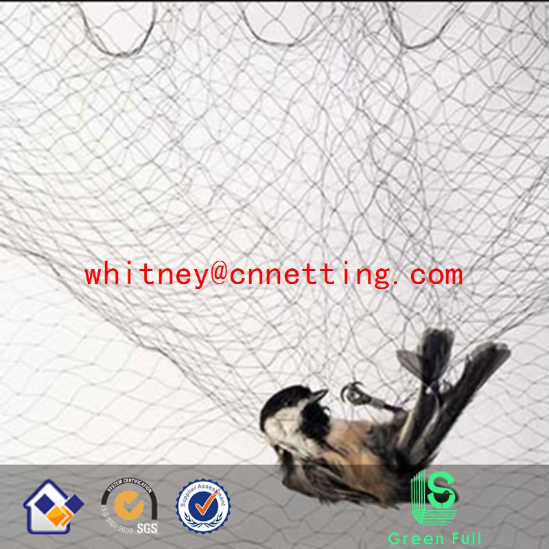 شبكة ضباب أسود شبكة صيد الطيور الحية شبكة فخ الطيور