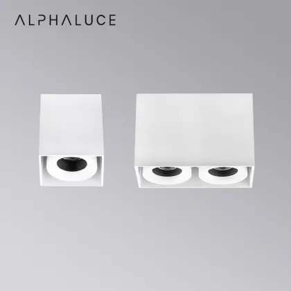 DALI Dimmable Square Mounted Washer Downlight Surface Double Head LED Down Light