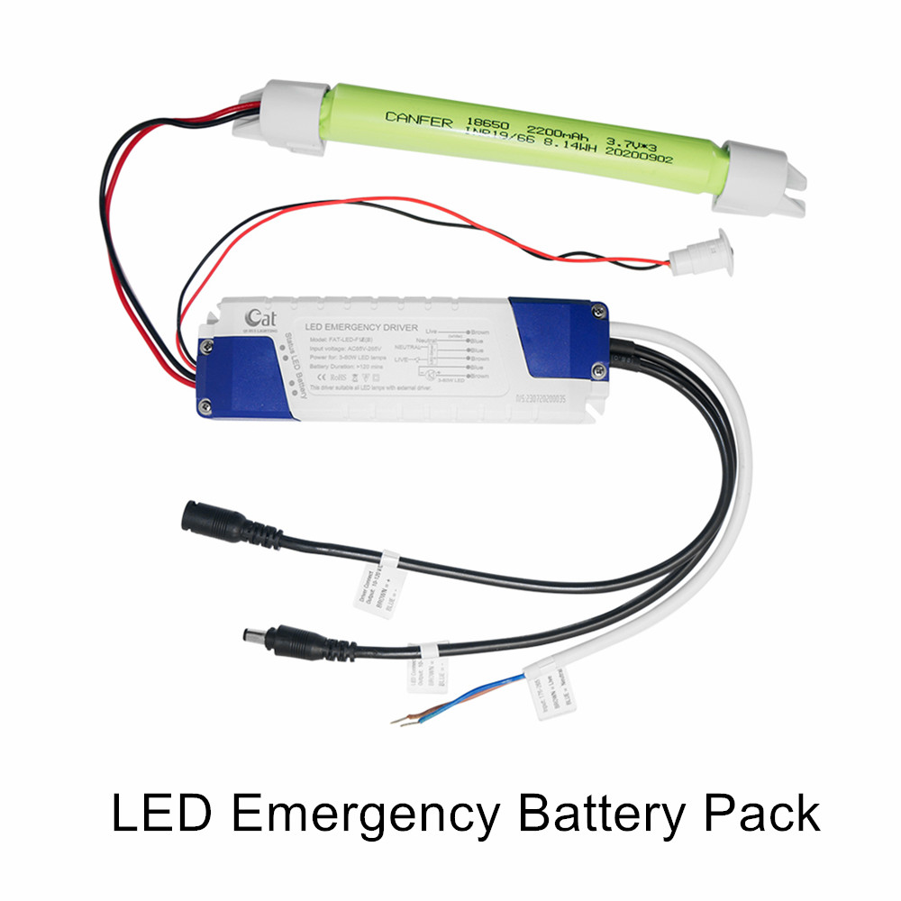 Riduci l'inverter di emergenza a LED di energia