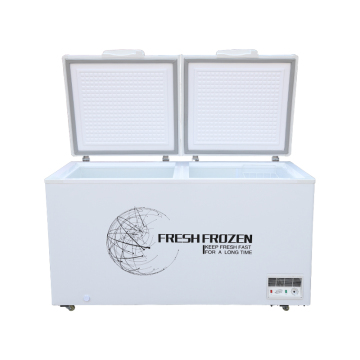 Single and Double Door Deep Freezers for Supermarkets