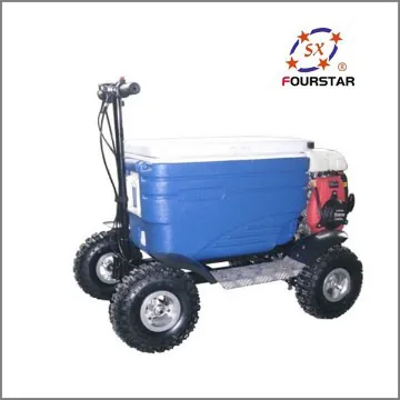 Zhejiang 49cc gas esky cooler scooter
