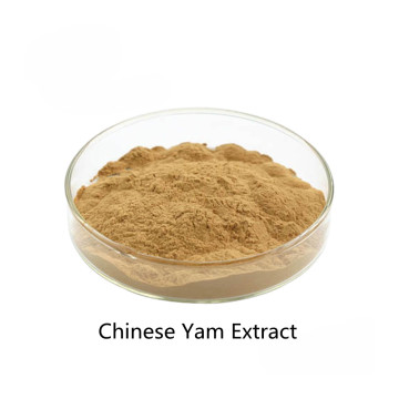 Hot Sale Active ingredients Chinese Yam Extract powder