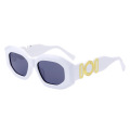 Gradient lens Acetate Sunglasses