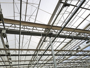 Flower Cultivation Glass Greenhouse
