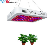 1000W led grow lights home depot