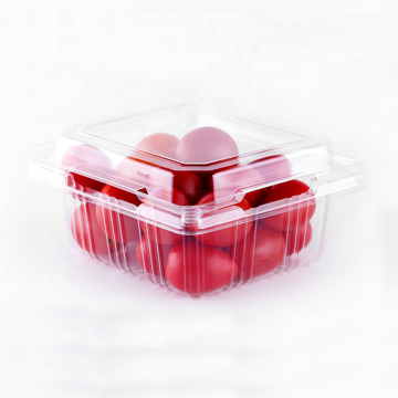 Hộp đóng gói trái cây Clamshell phân hủy sinh học - Hộp nhựa rõ ràng có thể lấy mẫu miễn phí