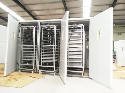 Best Price Automatic Duck Egg Incubator Machine for 10,000 Oeuf Hatching Eggs