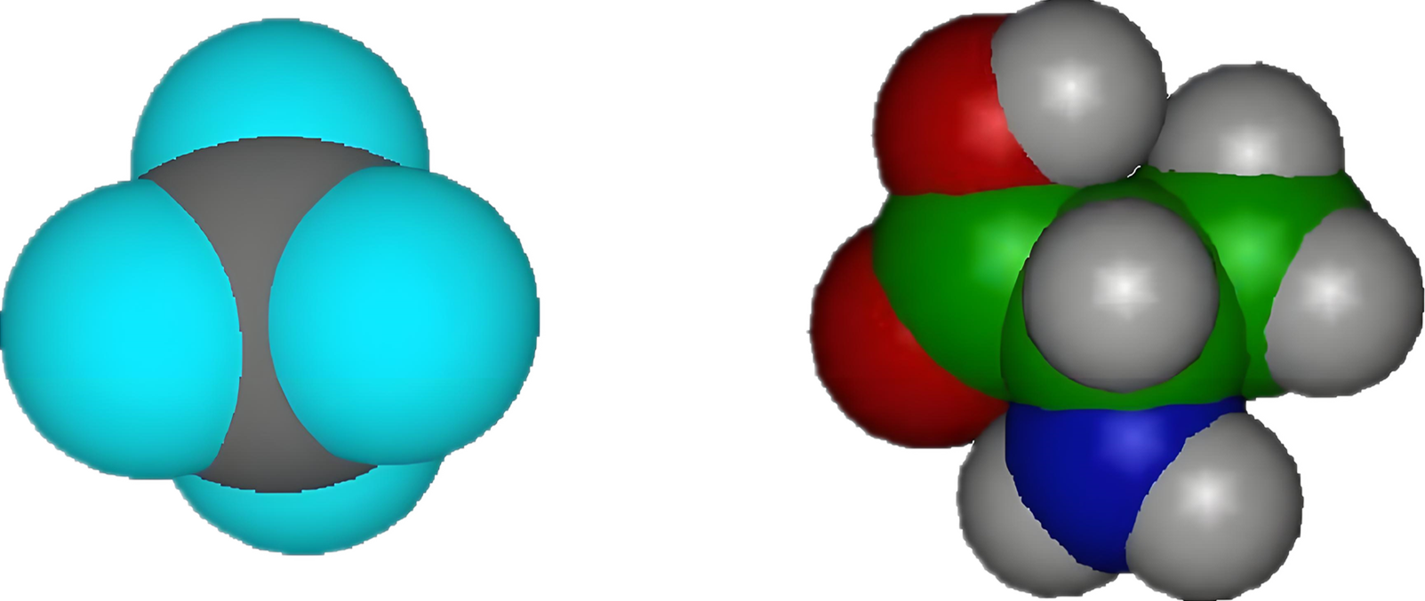 polar molecules and  non-polar molecules