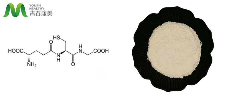 Kojic Acid Powder 2