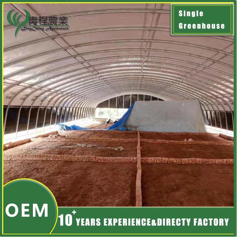 Steel Pipe Single Span Greenhouse