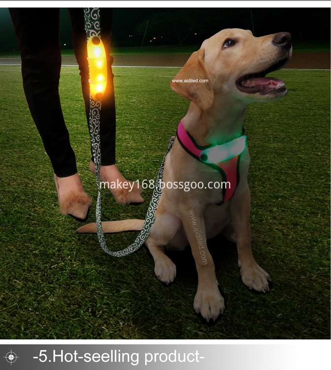 Led Light-Up Dog Lead