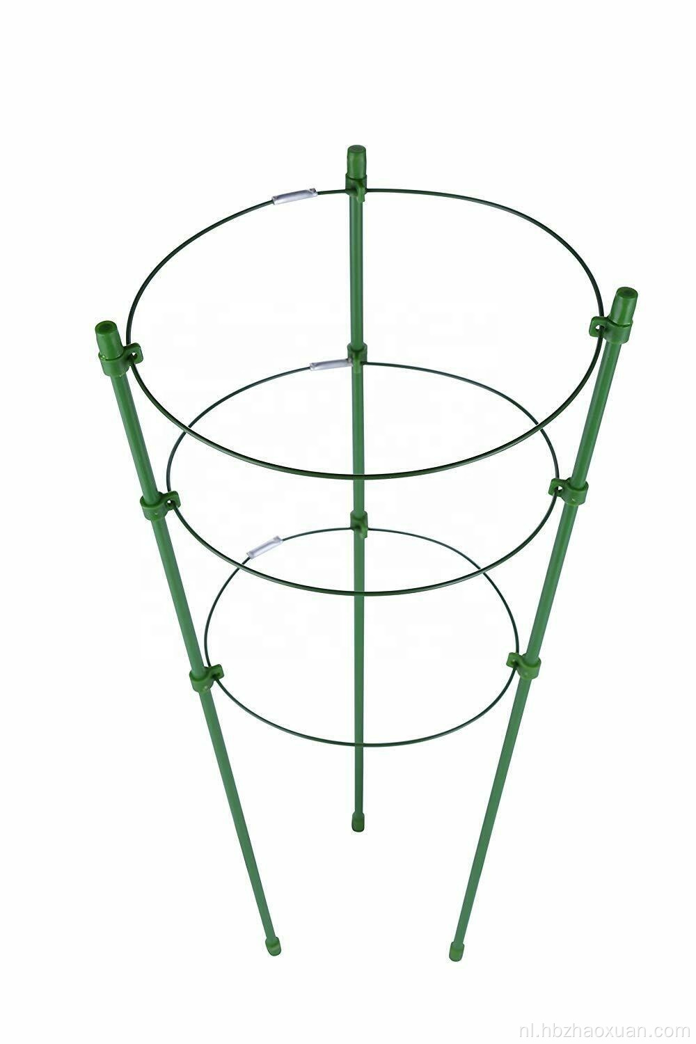 Tomatenkooi Garden Buiten Flower Climbing Plant Support