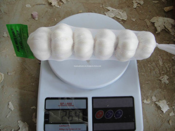 5.0cm Fresh Pure White Garlic