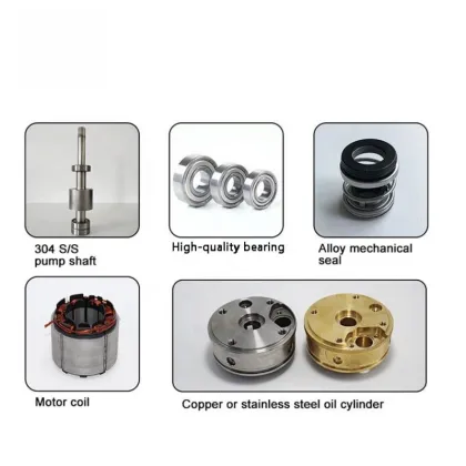 Solar Water Pump for Sustainable Agriculture Solutions