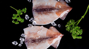 Frozen Cleaned Squid Tubes with Skin