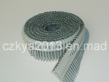 Plastic Sheet Coil Nails for Packaging