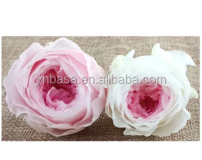 Kunming High Quality Peony Preserved Austin Rose for Home Decor