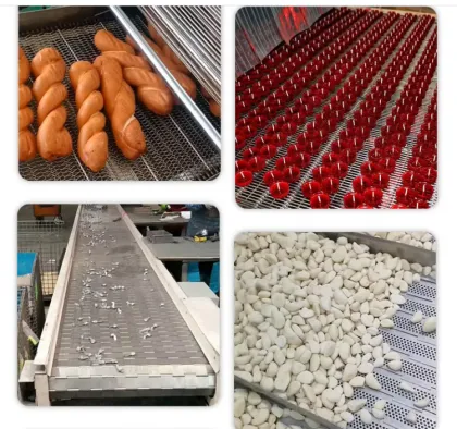 Food grade Food conveyor