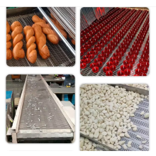 Food grade Food conveyor