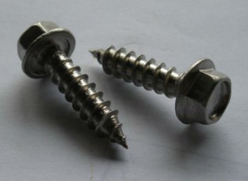 screws