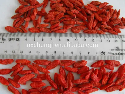 NingXIa low price dried fresh goji berries