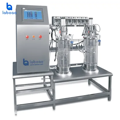 Laboao Customized Scientific Research Bioreactor & Biological Fermentor
