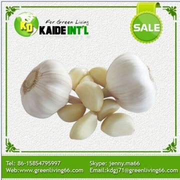 Naturale aglio aziende agricole in vendita In Sud Africa