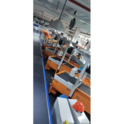 High Speed Belt Conveyor Ring Sorter