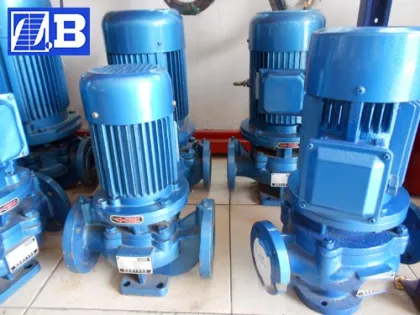 ISG Vertical Shaft Pump: Shaft Driven Vertical Shaft Water Pump